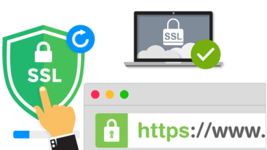 SSL Certificate Securing Website