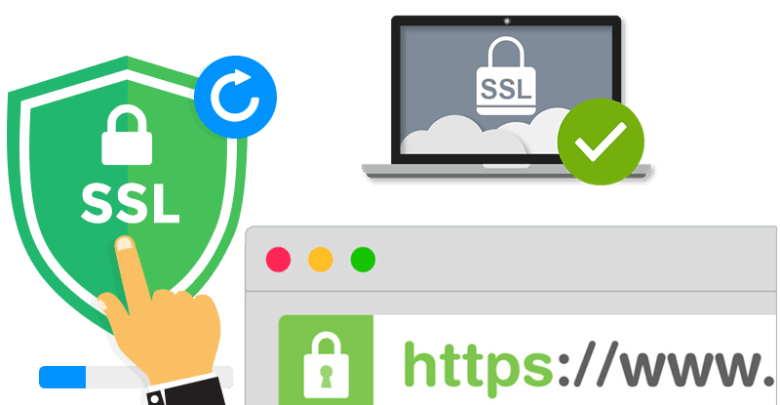 SSL Certificate Securing Website