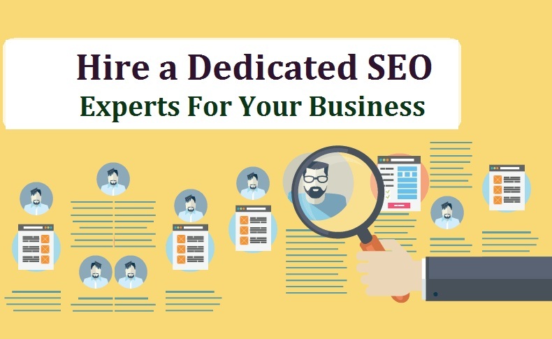 hire dedicated seo expert