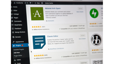 WordPress Plugins