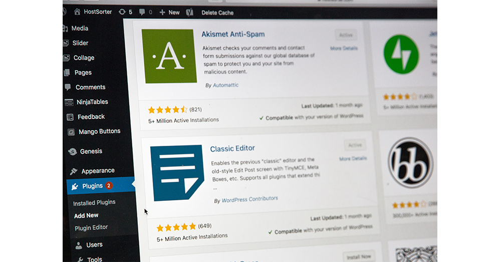 Install a Security Plugin