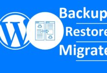 WordPress Migration Plugins