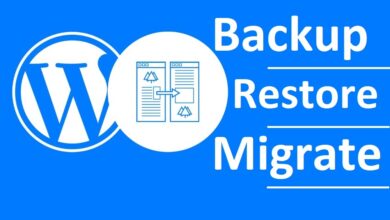 WordPress Migration Plugins