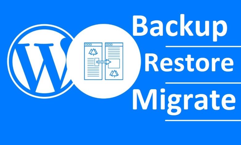 WordPress Migration Plugins