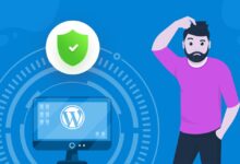 wordpress website security