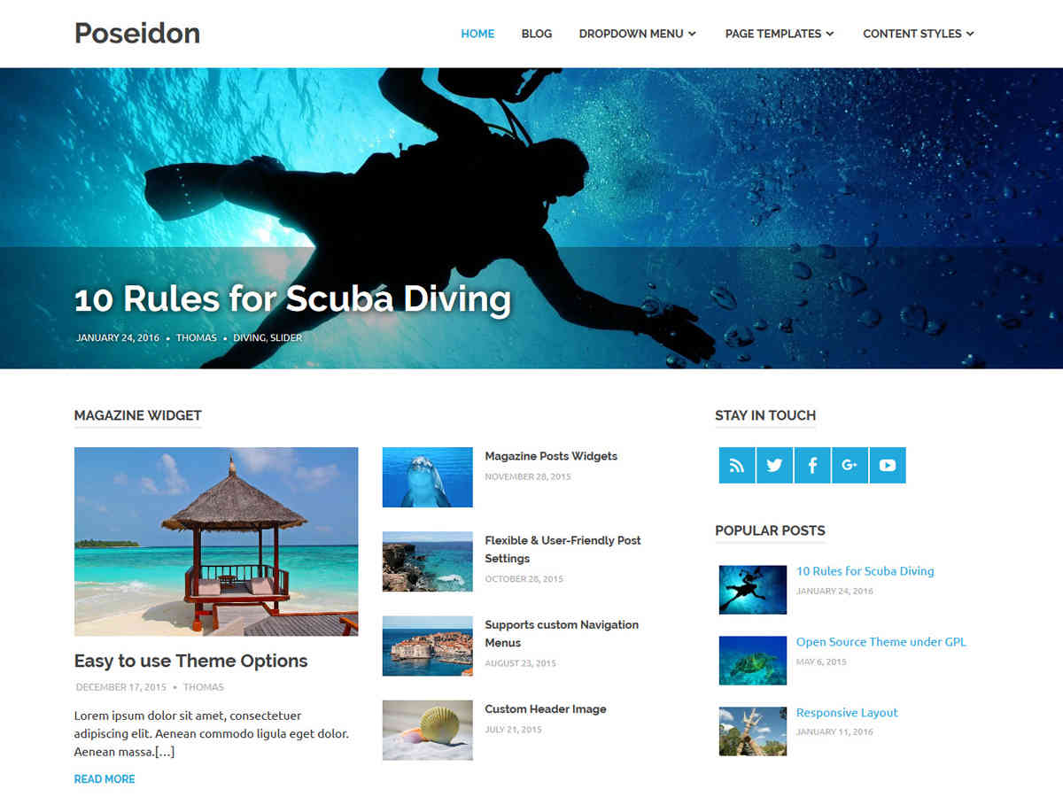 poseidon wordpress theme