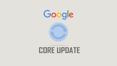 Core Update of November 2021