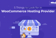 WooCommerce Hosting Provider