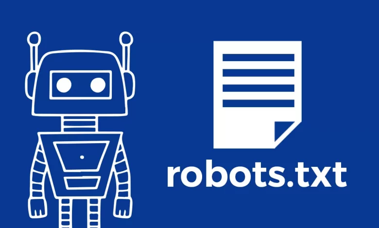 Robots.txt file in SEO