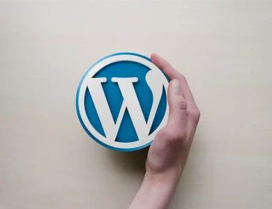 What is WordPress