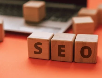 SEO Service Provider