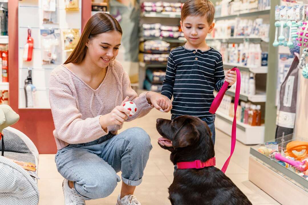Free Samples or Trial Products for Pets