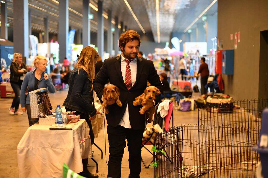 Host Pet-Friendly Events