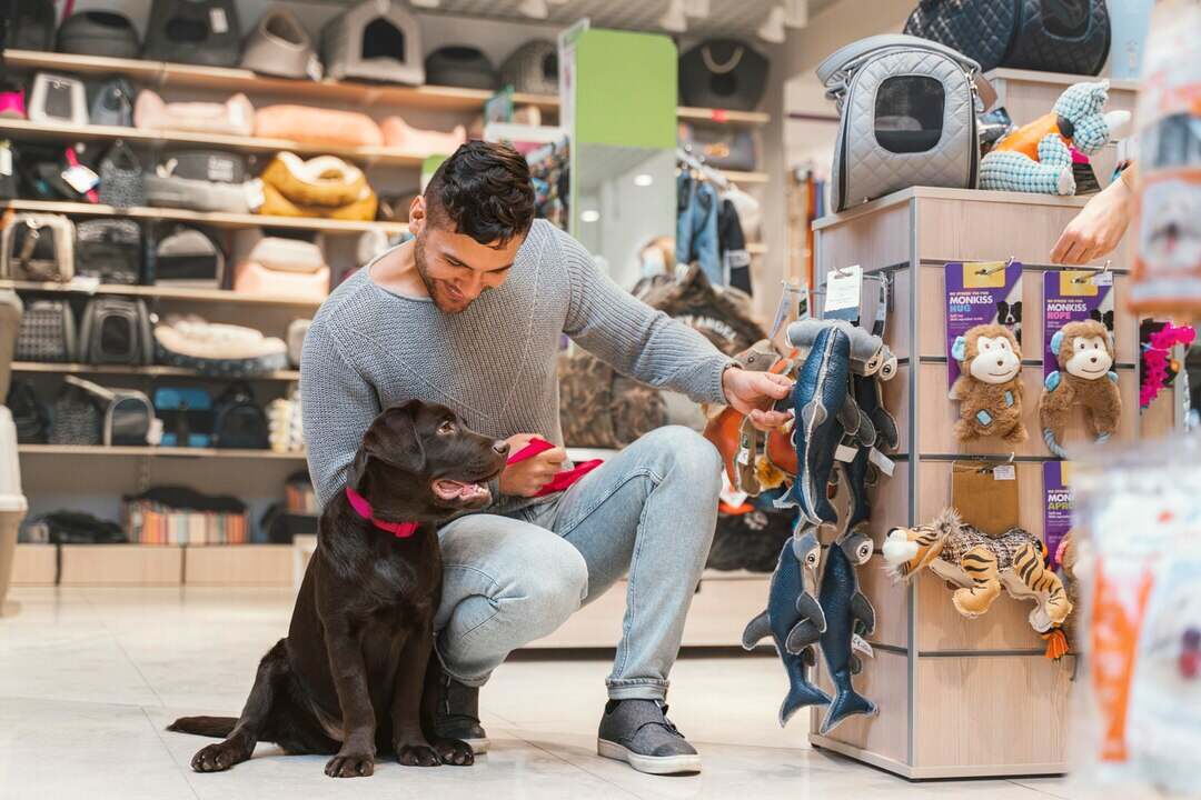 Train Staff for Better Pet Customer Service