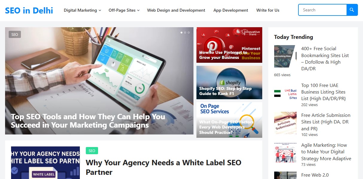 SEO in Delhi Alternatives